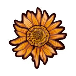 NOSO Balsamroot By Rachel Pohl Patch