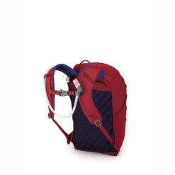 OSPREY Kids' Hydrajet 12 Backpack 24 OSPREY Kids' Hydrajet 12 Backpack -Outdoor Product Shop osprey kids hydrajet 12 cosmic red 3 760x760 1