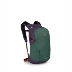 OSPREY Daylite Pack -Outdoor Product Shop osprey unisex daylite axo green enchant purp 22 760x760 1